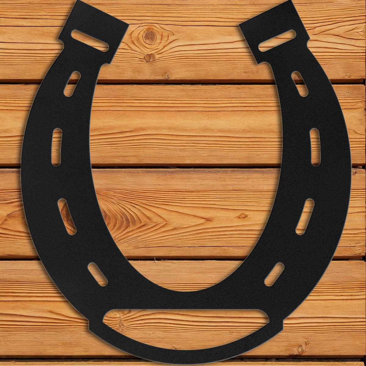 Horse Shoe Wall Art