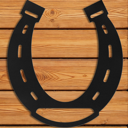 Horse Shoe Wall Art