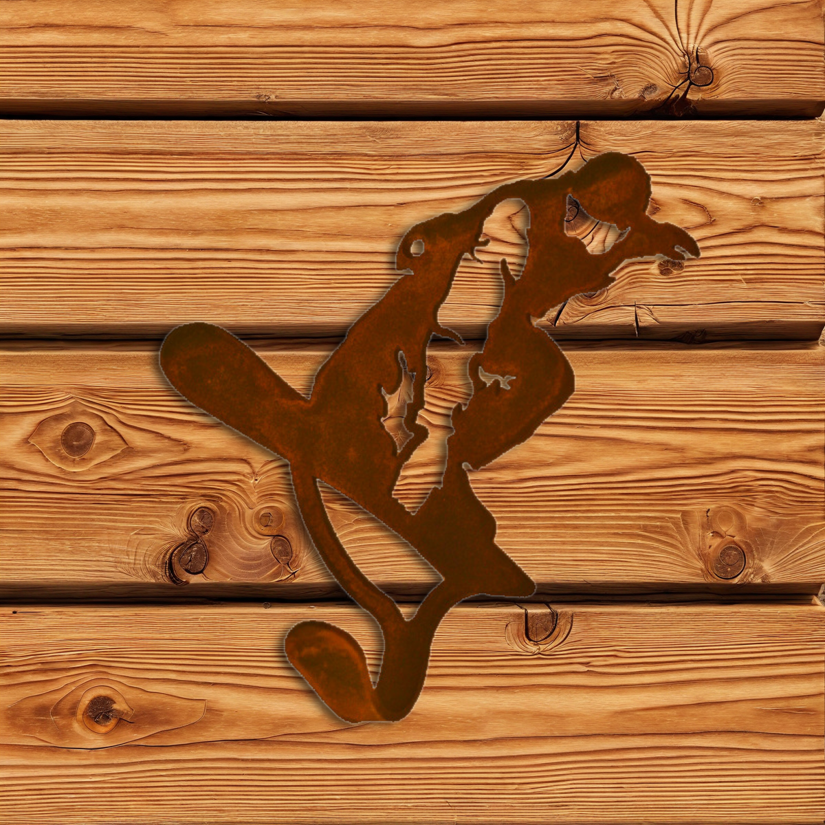 CH-5179 Snow Boarder Single Coat Hook