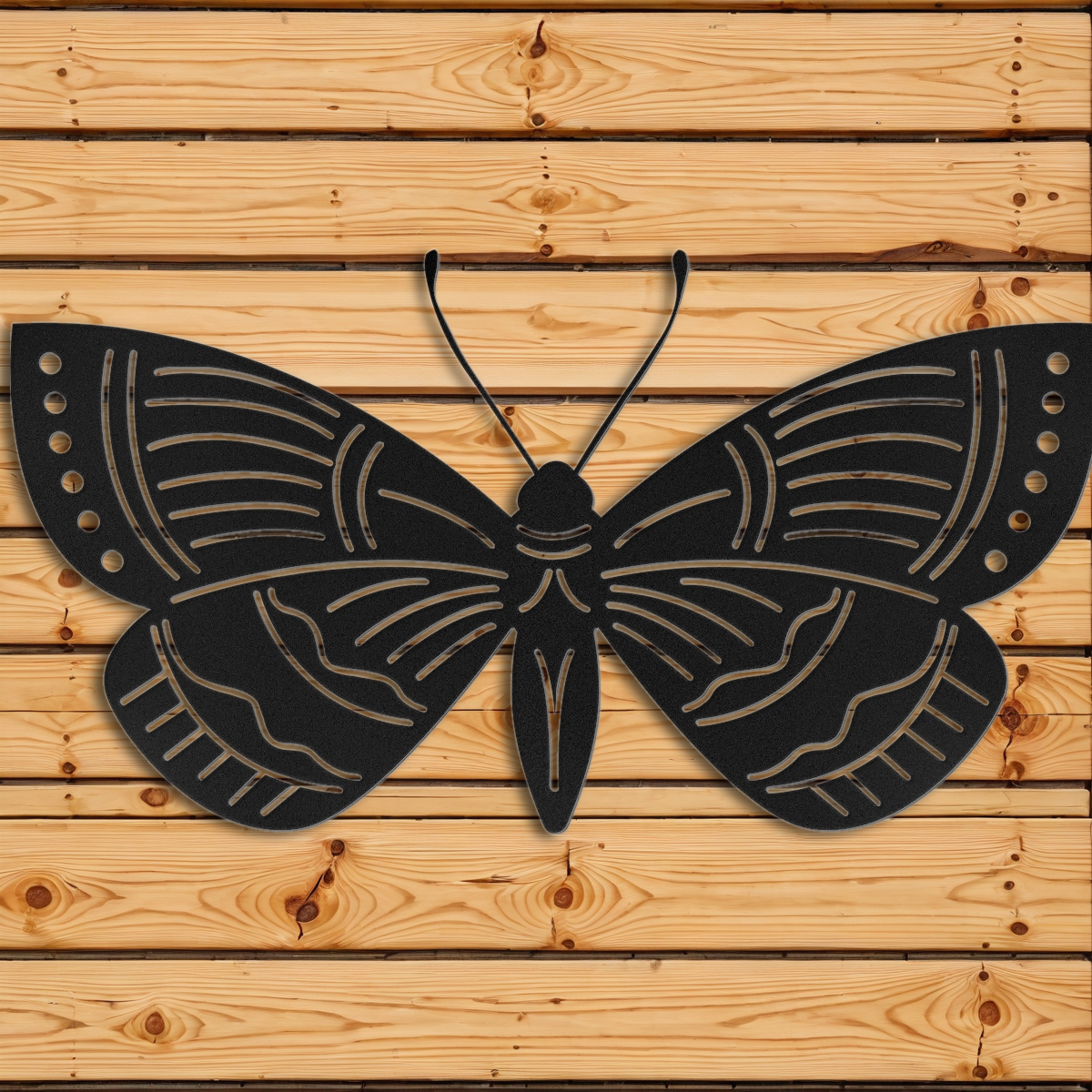 Moth Wall Art