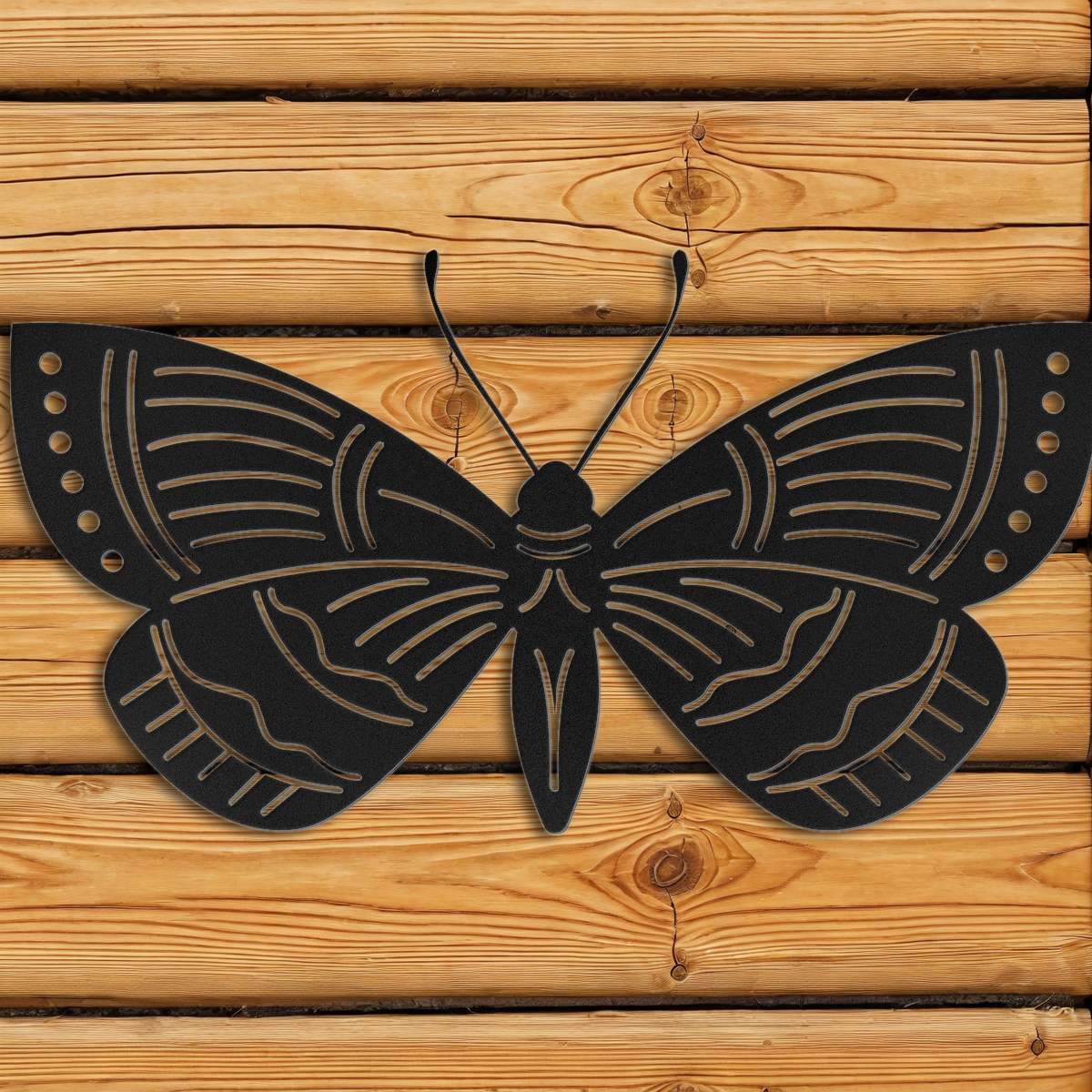 Moth Wall Art