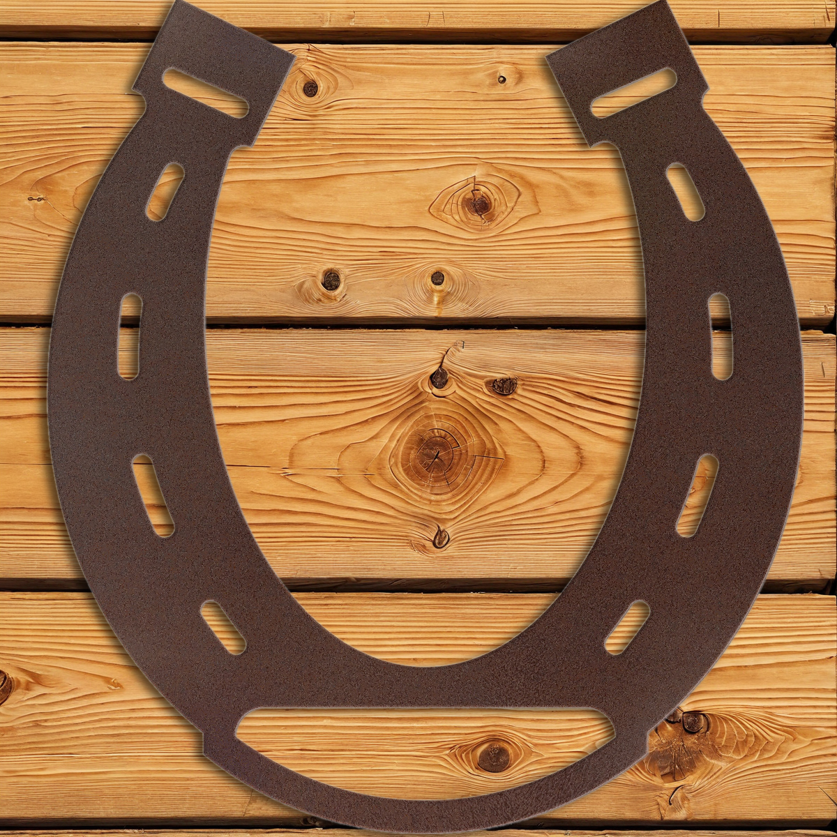 WA-1325 Horse Shoe Wall Art