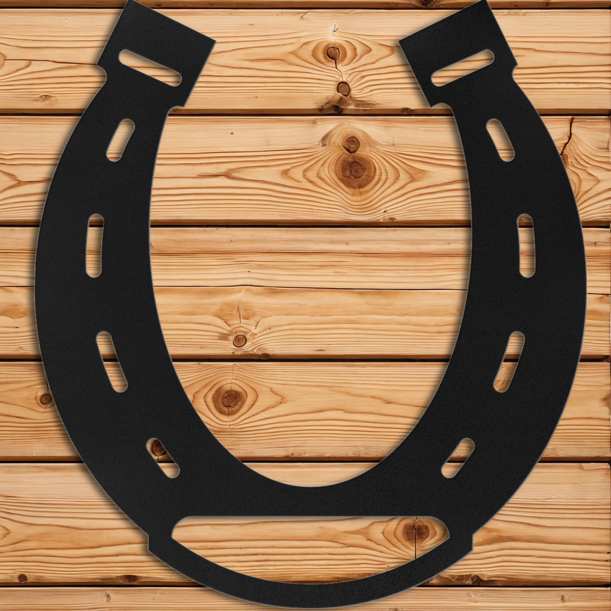 Horse Shoe Wall Art
