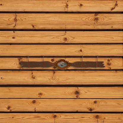 CH-4620 Sunburst Concho Six Hook