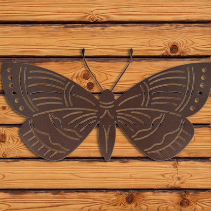 WA-1321 Moth Wall Art